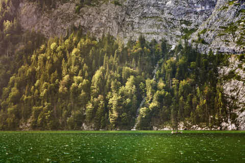 Gemeinde Schönau Landkreis Berchtesgadener_Land Königssee (Dirschl Johann) Deutschland BGL